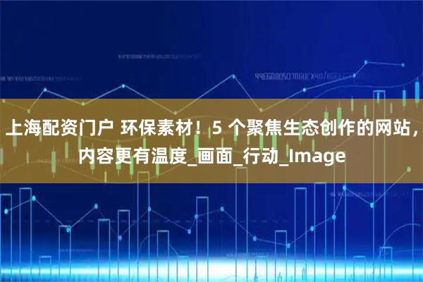 上海配资门户 环保素材！5 个聚焦生态创作的网站，内容更有温度_画面_行动_Image